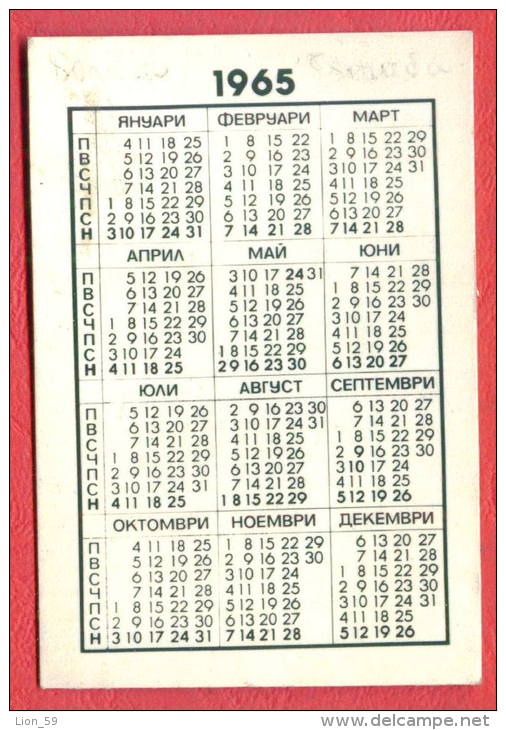 K899 / 1965 - Razgrad - PHARMACY Antibiotic Plant - Calendar Calendrier Kalender - Bulgaria Bulgarie Bulgarien - Petit Format : 1961-70