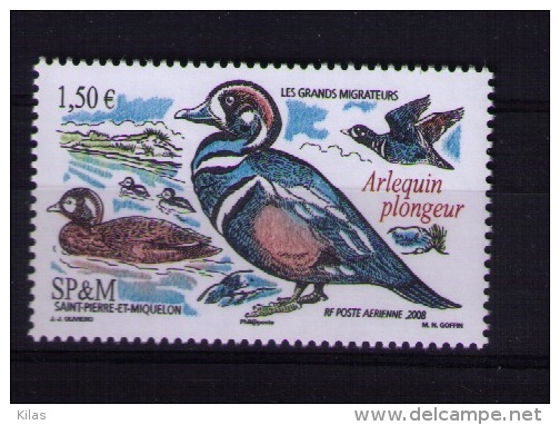 Saint Pierre And Miquelon 2008 Birds (fauna) MNH - Ongebruikt