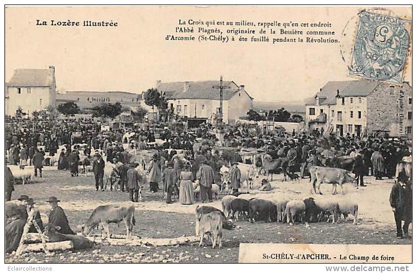 Lozère   48    St Chély D'Apcher     Le Champ De Foire - Saint Chely D'Apcher