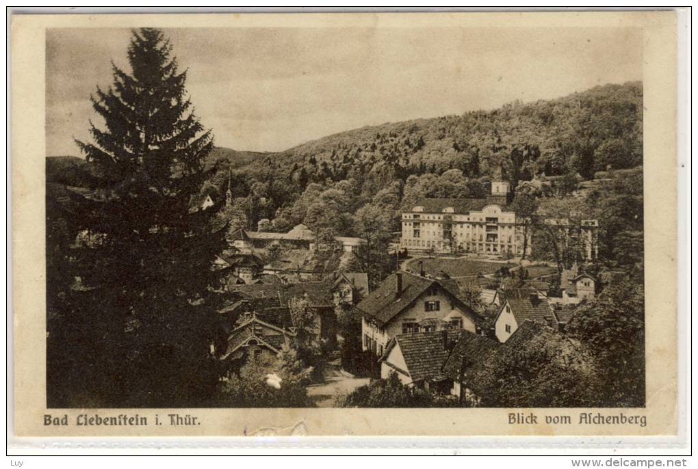 BAD LIEBENSTEIN I. Thüringen - Blick  Vom  Aichenberg - Gel. 1925 - Bad Liebenstein