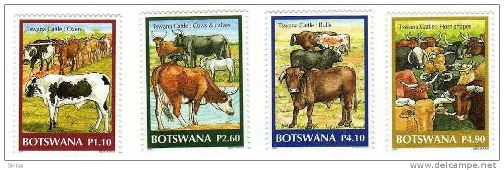 Botswana / Farm Animals / Cows - Botswana (1966-...)