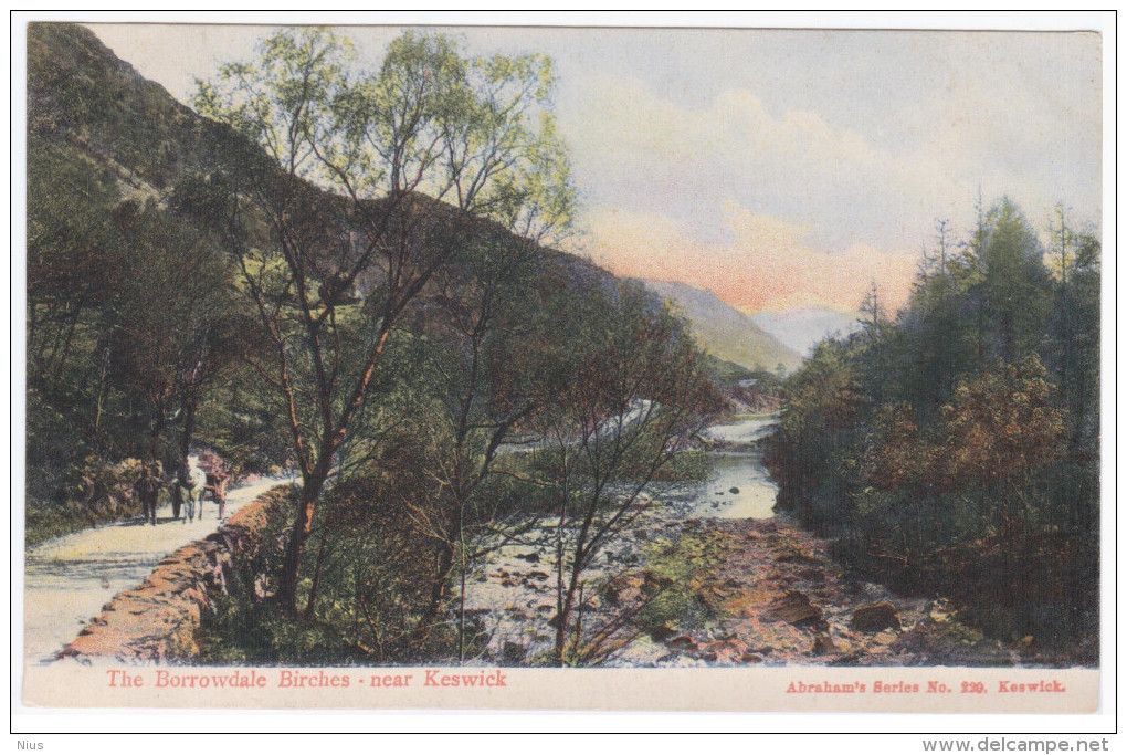 England Great Britain UK United Kingdom, The Borrowdale Birches Near Keswick - Borrowdale