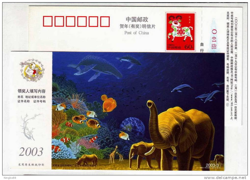 Planet,elephant,Giraffe,r Hinoceros,marine World Whale,dolphin,coral Reef Fish,CN 03 Luoyang New Year Pre-stamped Card - Baleines