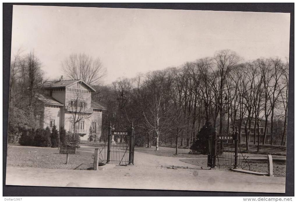 Merwestein En Noordhove  Omstreek 1910  Echte Foto. Ongebruikt. Gemeente Dordrecht. - Dordrecht