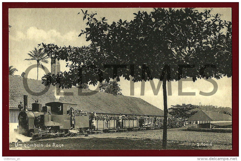 SAO TOME - UM COMBOIO DE ROÇA - 1920 PC - Santo Tomé Y Príncipe
