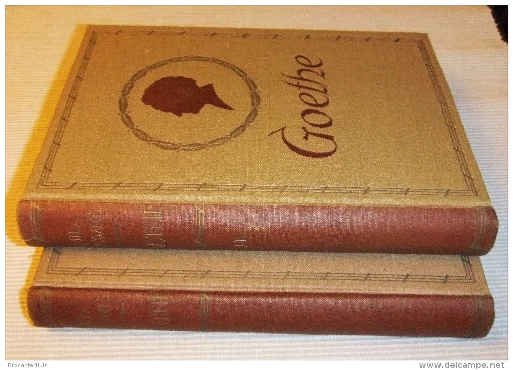 GOETHE LA VIDA DE UN HOMBRE DE EMIL LUDWIG 1ª EDICION 1932 ED. JUVENTUD - Goethe First Edition - Biografieën