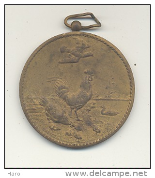 Médaille - UNION AVICOLE De THIMISTER Et Environs - Poules, Pigeons,... - Sonstige & Ohne Zuordnung