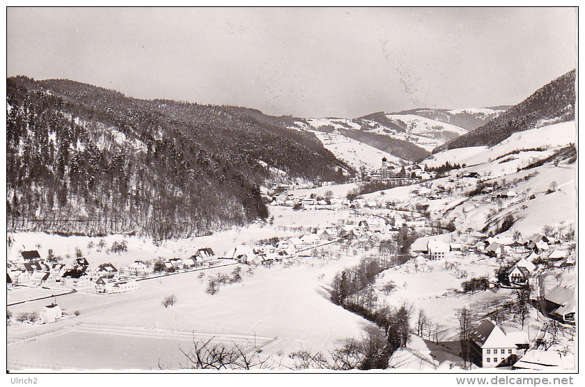 AK Untermünstertal / Schwarzwald - Panorama Im Winter (5547) - Münstertal