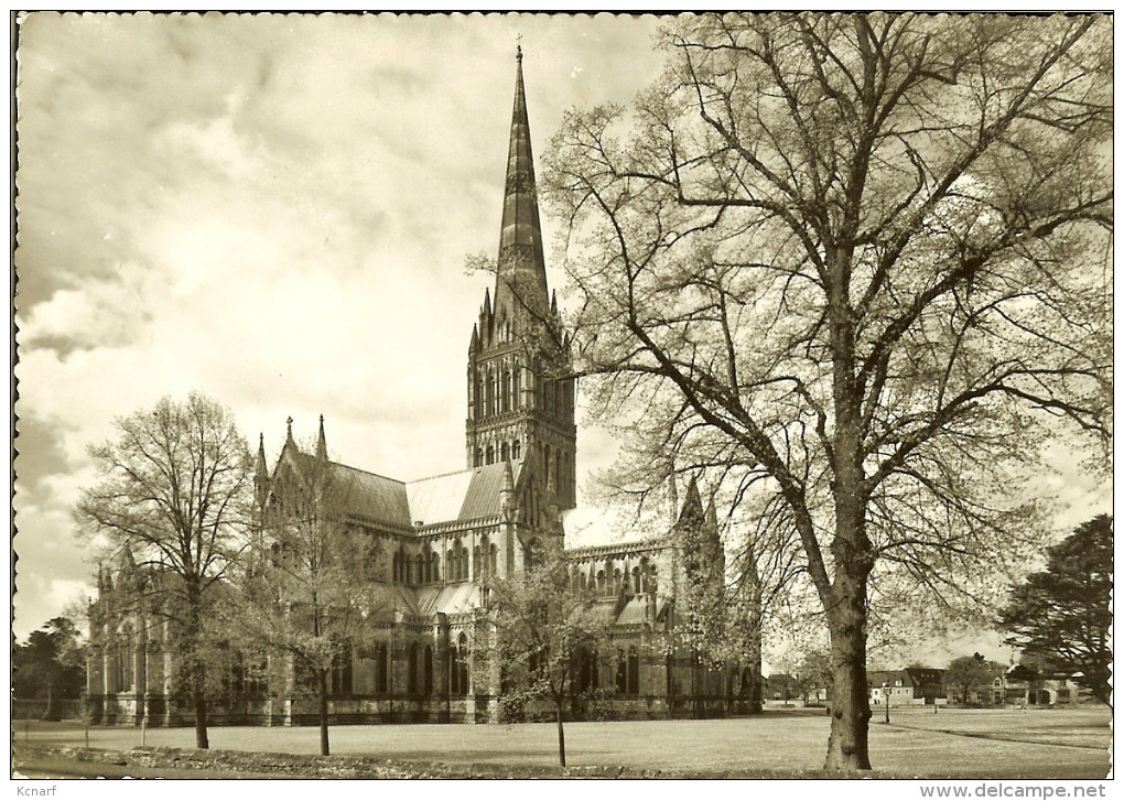 CP De SALISBURY " Cathedral " . - Salisbury