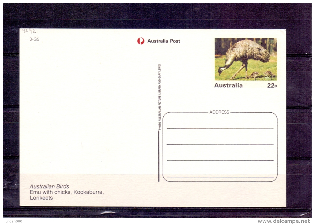 Australia -  Emu With Chicks  (RM4292) - Ostriches