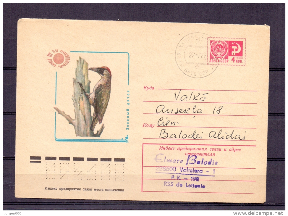 Noyta CCCP - Groenspecht - 27/7/1977 (RM4816) - Climbing Birds