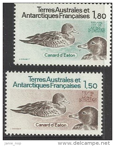 French Antartcti Territories 1983 Ducks MNH - Used Stamps