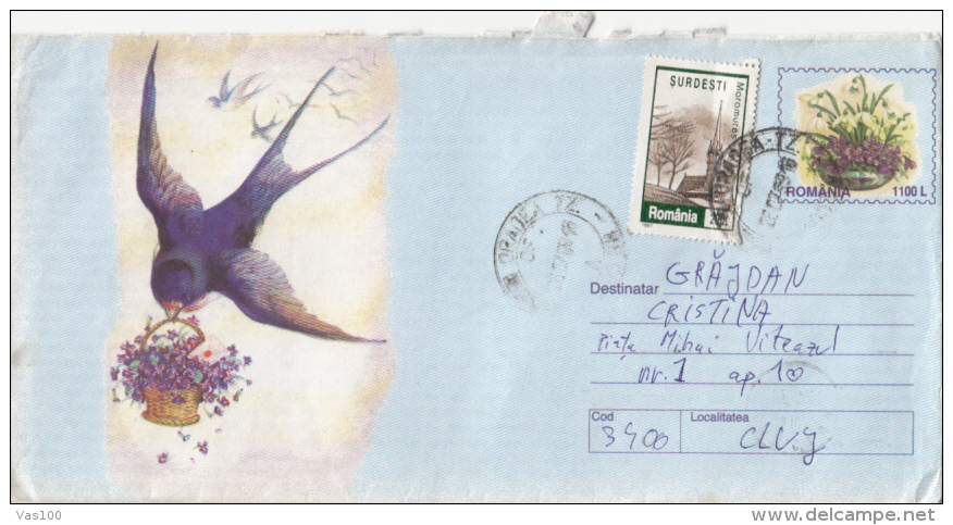 BIRD, SWALLOW, COVER STATIONERY, ENTIER POSTAL, 1999, ROMANIA - Schwalben