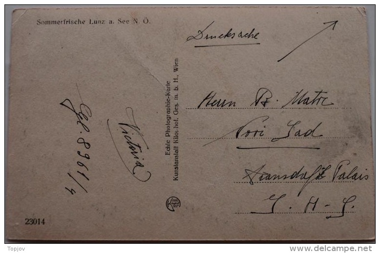 AUSTRIA -  LINZ  Am  SEE  N.O.  - 1921  - DAR - Lunz Am See