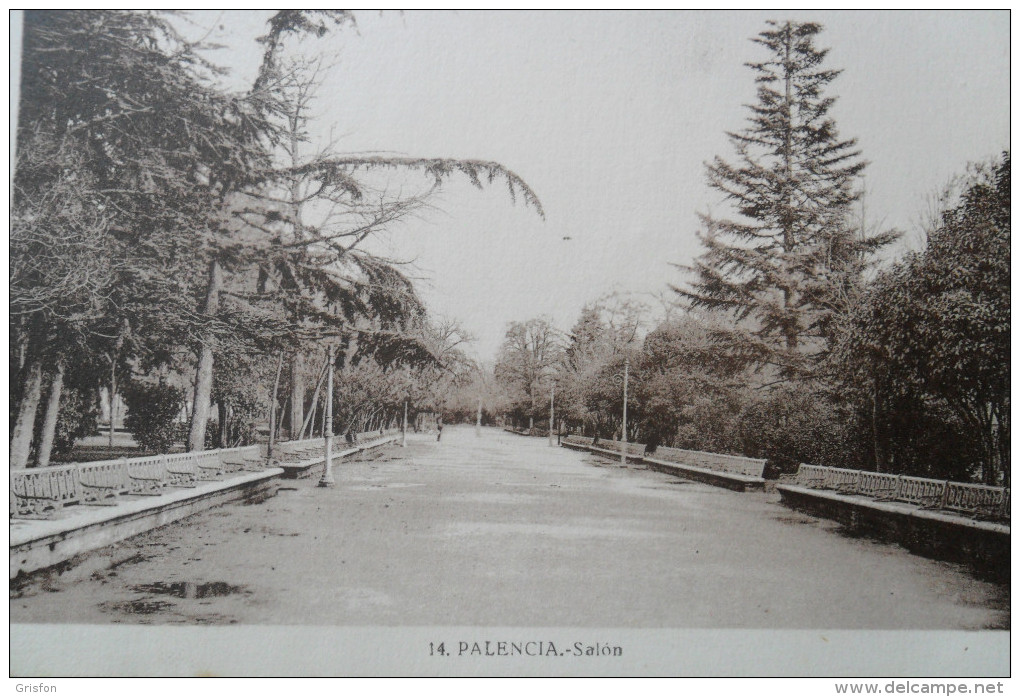 Palencia Salon - Palencia