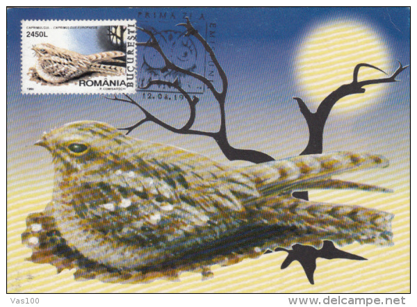 BIRDS, NIGHTJAR, CM, MAXICARD, CARTES MAXIMUM, 1998, ROMANIA - Climbing Birds