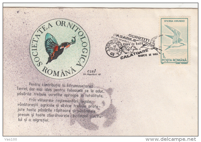 BIRDS, COMMON TERN, SPECIAL COVER, 1993, ROMANIA - Albatros