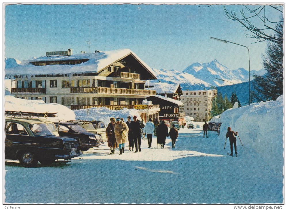 SUISSE,valais,CRANS SUR SIERRE,prés D´icogne,lens Montana,station,ski De Fond,neige,or Blanc,alex Sport,russe - Sierre