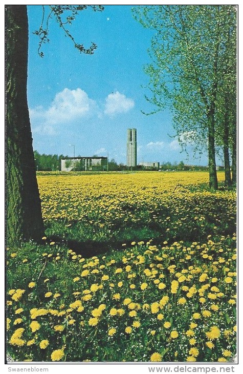 NL.- Dronten. Kerkcentrum De Ark Op De Voorgrond Koolzaadvelden. Kerk. 2 Scans - Dronten