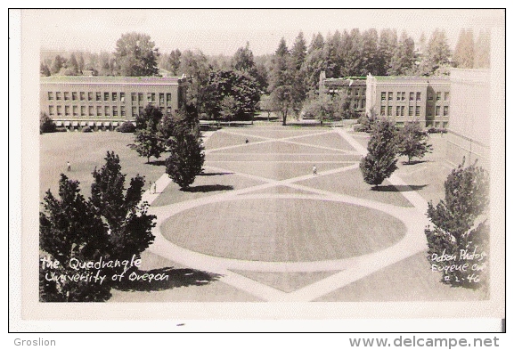 THE QUADRANGLE UNIVERSITY OF OREGON 46 - Eugene