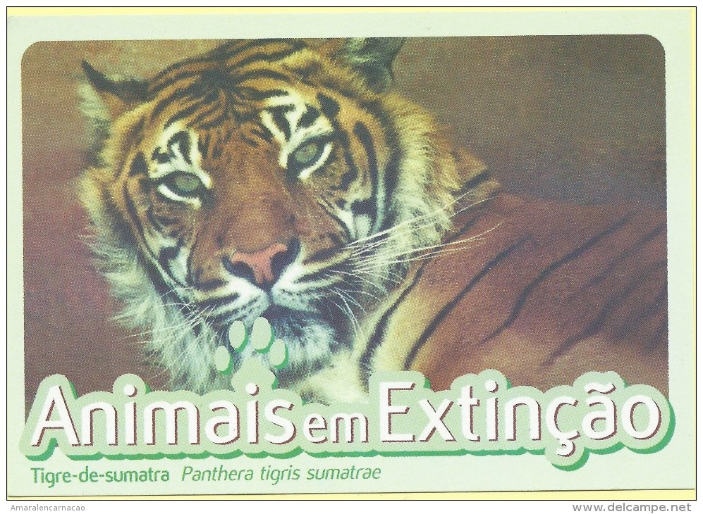 CARTE POSTALE - POSTCARD - POSTKARTE - CARTOLINA POSTA - PORTUGAL - ANIMAUX - SUMATRA TIGER - Panthera Tigris Smatrae - Tigres