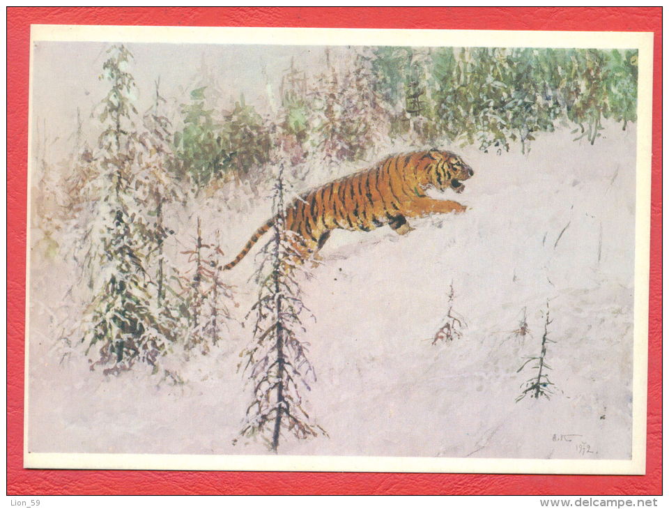 145292 / Russia Art A. Komarov  - Poems V. Kozhevnikov - Tiger Le Tigre (Panthera Tigris) -  Russie Russland Rusland - Tigres