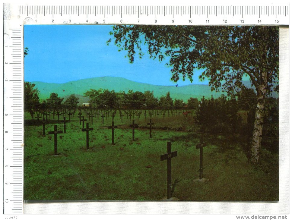 CERNAY -  Cimetière Allemand ( Guerre 1914-18)  - - Cernay