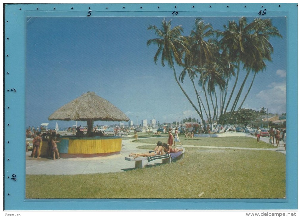 MACEIÓ - Os Famosos " Sete Coqueiros " - BRAZIL -  Ed. Brasil Turistico - 2 Scans - Maceió