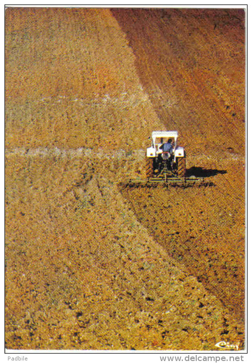 Carte Postale Agriculture Ferme  Tracteur  Trés Beau Plan - Tractors