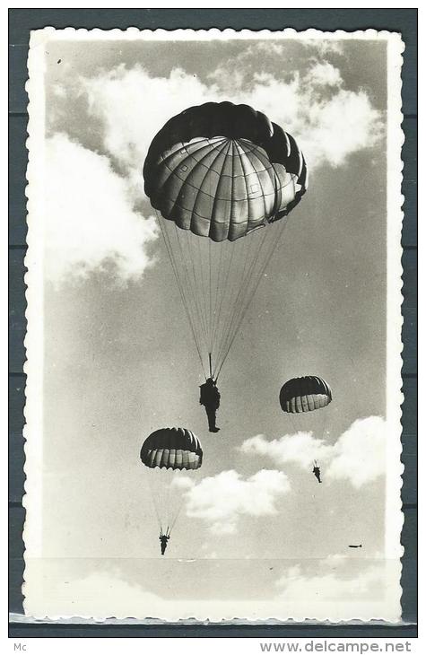 Parachutisme - Carte Photo - 3 Parachutistes En Descente - Parachutisme