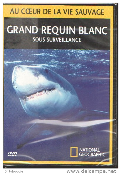 GRAND REQUIN BLANC SOUS SURVEILLANCE - DVD - NATIONAL GEOGRAPHIC - Au Coeur De La Vie Sauvage - Documentary