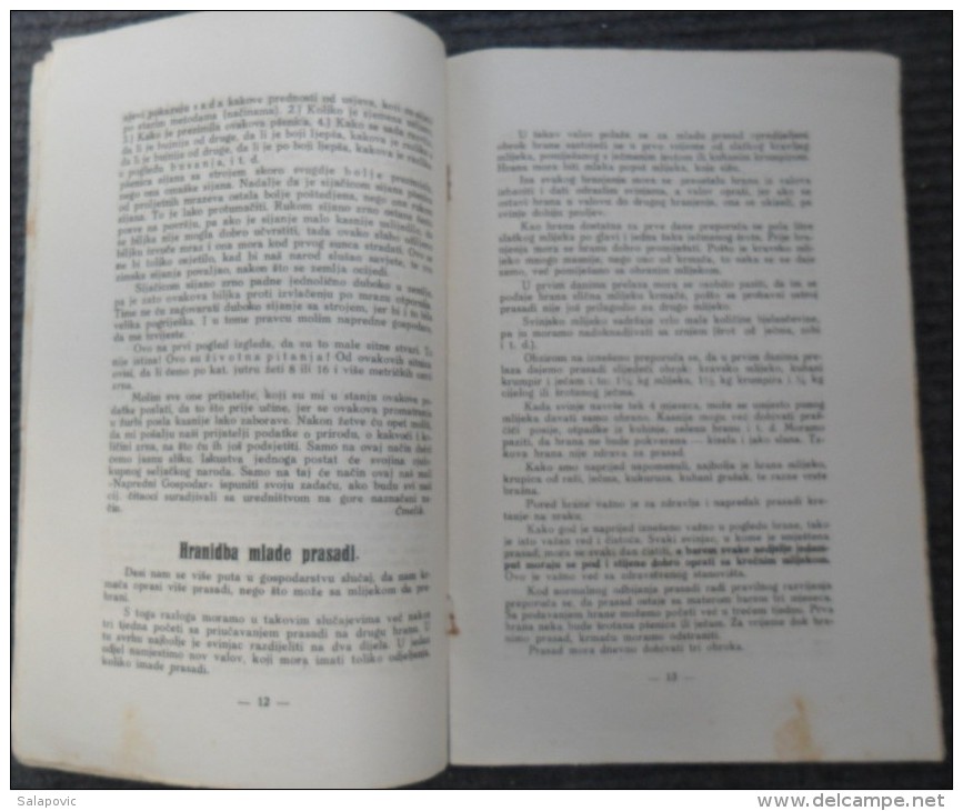 NAPREDNI GOSPODAR - STRUCNO GLASILO ZA MALOGA GOSPODARA, OSIJEK 1929 - Otros & Sin Clasificación