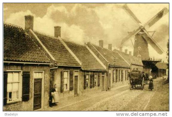 ZEVENBERGEN (N.Br.) - Molen/moulin - Retrokaart Sepiabruin Van De Stenen Stellingmolen. Uitgave T.g.v. De Restauratie. - Zevenbergen