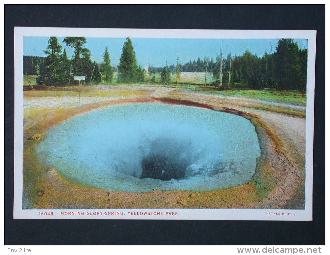 ref3124 WA Lot de 13 Cartes sur le Parc de Yellowstone Park en Amérique du Nord - Buffalo Bison