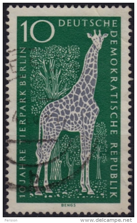 Giraffe ZOO - DDR / Used - Giraffen