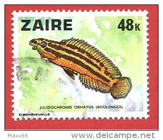 CONGO - ZAIRE - USATO - 1978 - Pesci - Julidochromis Ornatus - 48 K - Michel CD 555 - Usados