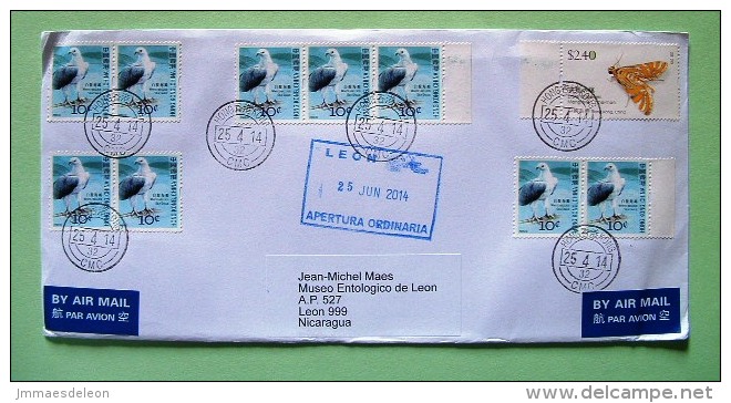 Hong Kong 2014 Cover To Nicaragua - Birds Sea Eagle - Insect Moth - Lettres & Documents