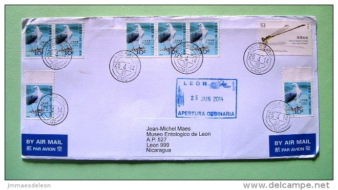 Hong Kong 2014 Cover To Nicaragua - Birds Sea Eagle - Insect Dragonfly Odonata - Lettres & Documents