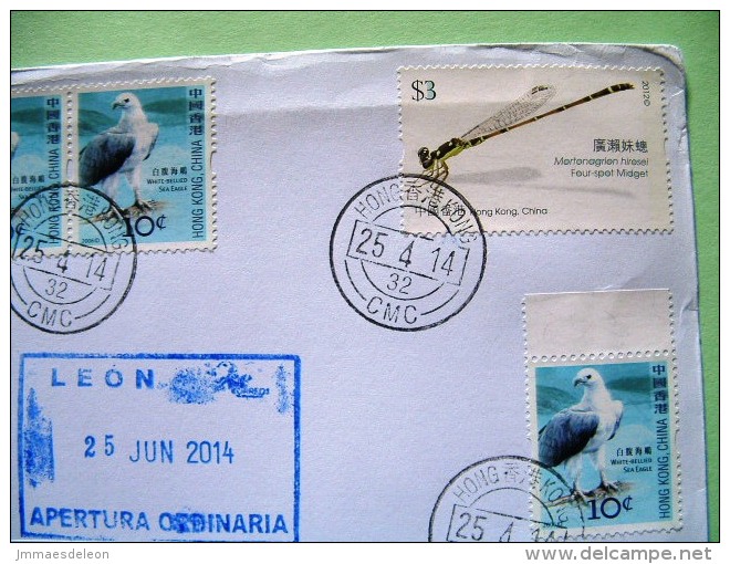 Hong Kong 2014 Cover To Nicaragua - Birds Sea Eagle - Insect Dragonfly Odonata - Lettres & Documents