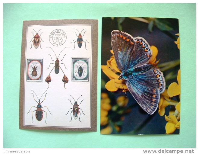 Two Postcards On Insects From USA - Insects