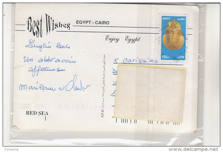 PO6808C# EGITTO - EGYPT - MARSA ALAM - RED SEA - PESCI TROPICALI   VG 2004 - Marsa Matruh