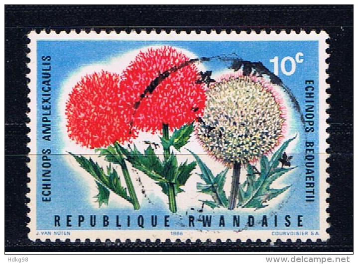 RWA+ Ruanda 1966 Mi 157 Blüte - Usati