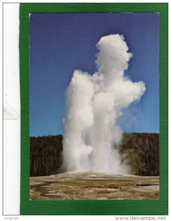 Yellowstone National Park - Old Faithful Geyser At Upper Geyser Basin Cpm Année 1991 - Yellowstone