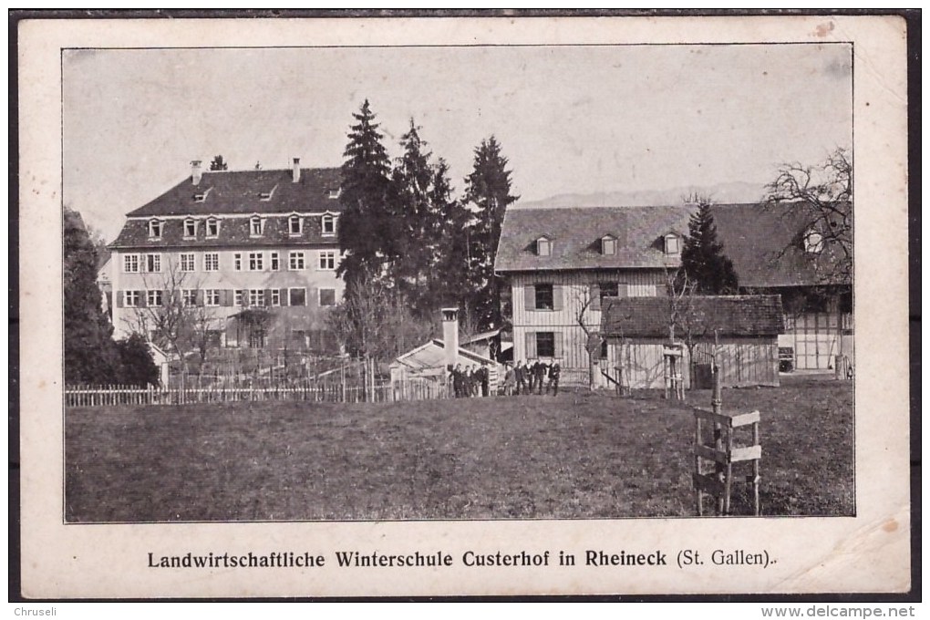 Rheineck Custerhof - Rheineck