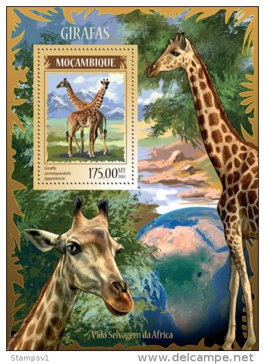 Mozambique. 2014 Giraffes. (218b) - Giraffen