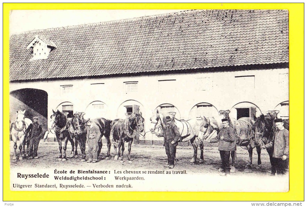 * Ruiselede - Ruysselede (bij Tielt) * (Uitgever Standaert) école De Bienfaisance, TOP, Chevaux Se Rendant Au Travail - Ruiselede