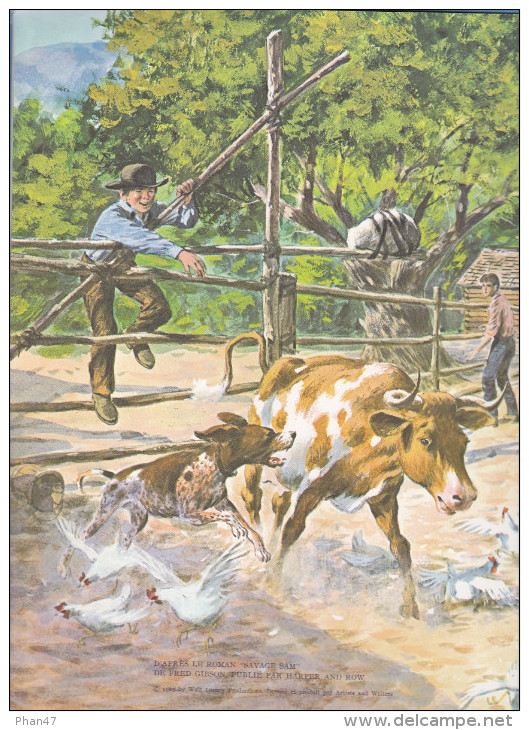 SAM Chien Du Texas. Wlat Disney, Ill. Mel Crawford, Grands Albums Hachette, 1965 (cow-boys, Indiens) - Hachette