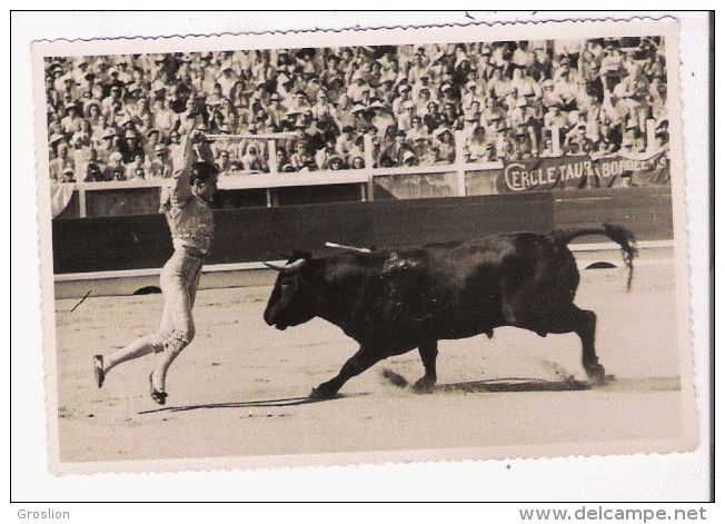 TOROS Y TOREROS PEPE DOMINGUIN UN PAR DE BANDERILLAS 40 - Bull