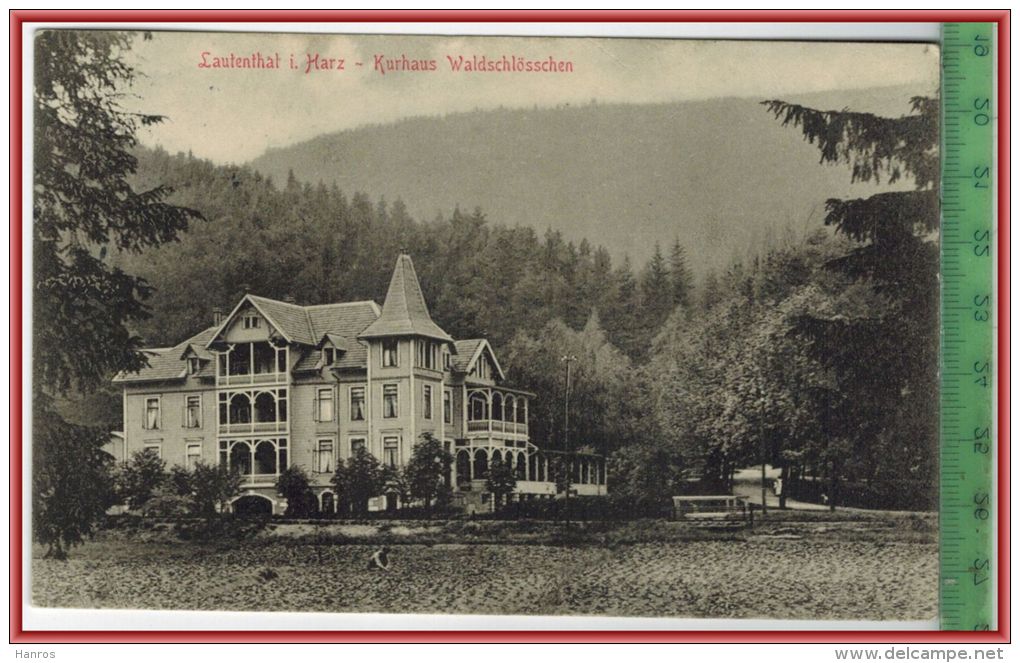 Lautenthal I. Harz, Kurhaus Waldschlösschen 1917, Verlag: Hermann Vopelius, Lautenthal,  POSTKARTE Mit Frankatur, - Oberharz