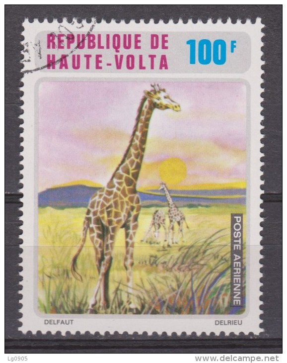 Haute Volta Used ; Giraffe, Jirafa, - Giraffen